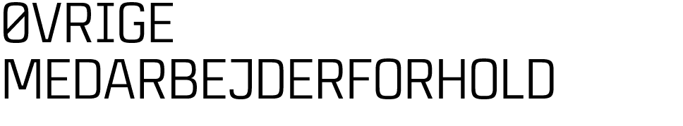  vrige medarbejderforhold